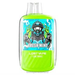 Lost Vape Nederland | verse munt Lost Vape Orion ob5500 5500 pufjes 14 ml 50 mg wegwerpbaar 26TD101