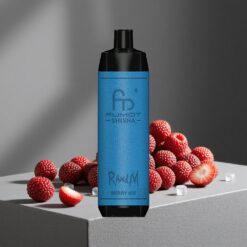 Bes-Kombinatie RandM Fumot Shisha 10000 Puffs Wegwerp Vape met LED Indicatie en Type-C Poort vape wholesale Netherlands