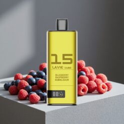 Blauwe Bes Framboos Bubblegum Lavie Cube 20000 Puffs Wegwerp Vape Type C opladen vape wholesale Netherlands