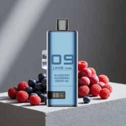Blauwe Bes Framboos Druif IJs Lavie Cube Wegwerp Vape 20000 Puffs Type C vape wholesale Netherlands