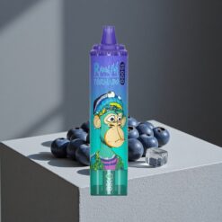 Bosbes Op IJs RandM Fumot Tornado 15000 Puffs 25ml Vloeistof LCD Display vape wholesale Netherlands